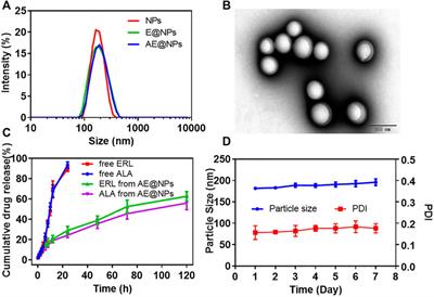 Dual Targeting EGFR and STAT3 With Erlotinib and Alantolactone Co-Loaded PLGA Nanoparticles for Pancreatic Cancer Treatment